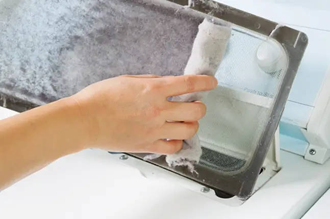 Lint Cleaners Near Me